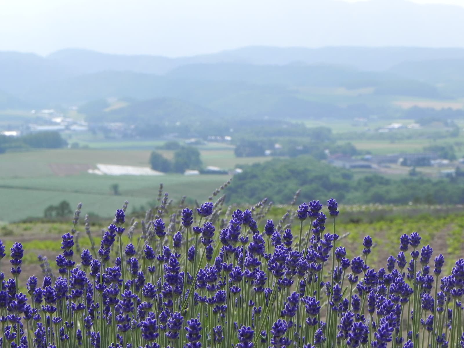 Hokkaido